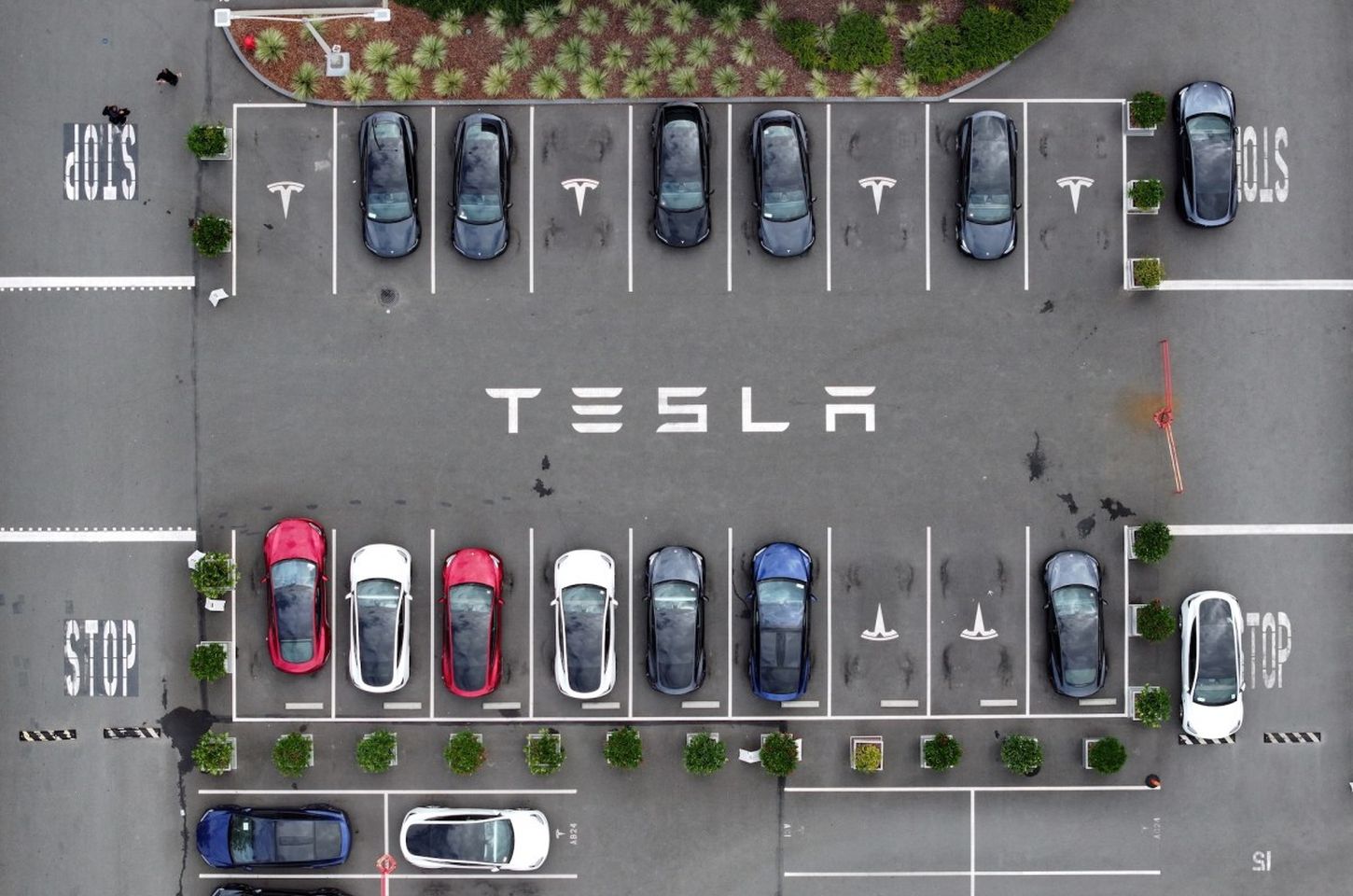 Tesla processa DMV da Califórnia para reverter decisão sobre marketing do Autopilot