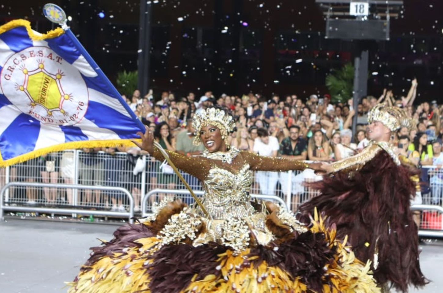 Tucuruvi e Pérola Negra conquistam vaga no Grupo Especial do Carnaval de SP