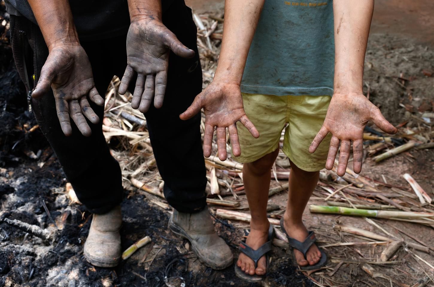 Um mês depois das chuvas, famílias da Zona da Mata mineira lutam para reconstruir vidas