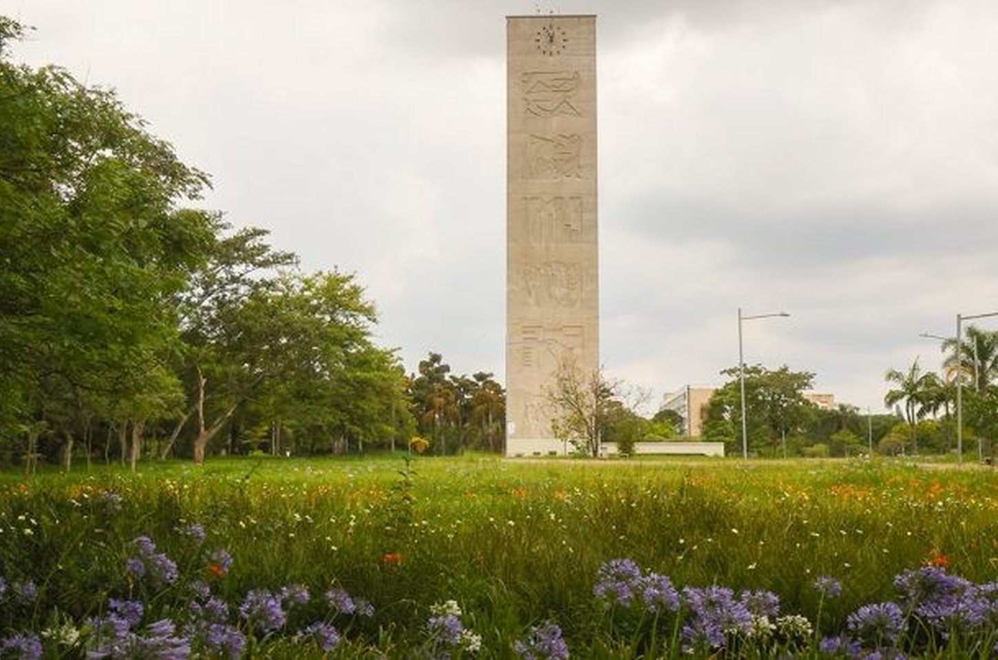 USP mantém 5º lugar mundial em ranking de sustentabilidade