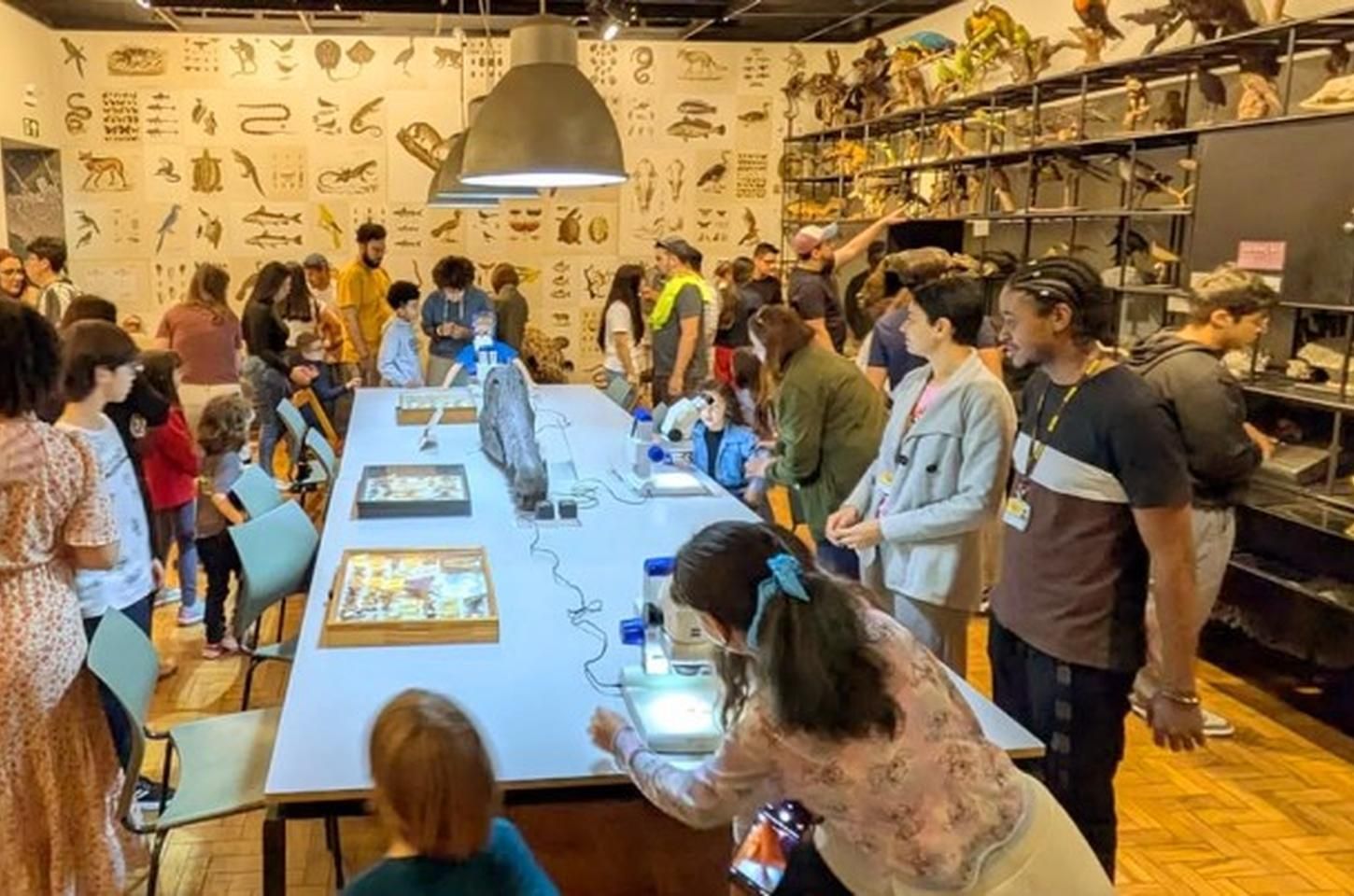 USP oferece programação de férias gratuita em janeiro