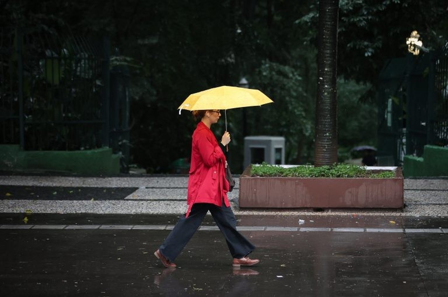 Ventos do oceano devem trazer chuva persistente para o leste de São Paulo