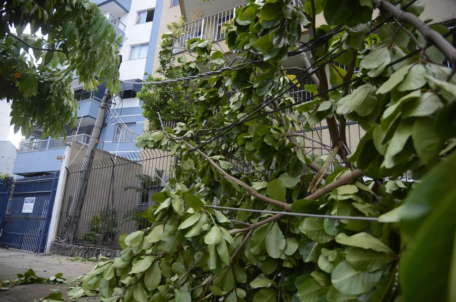 Ventos fortes atingem o Rio de Janeiro e causam transtornos na cidade