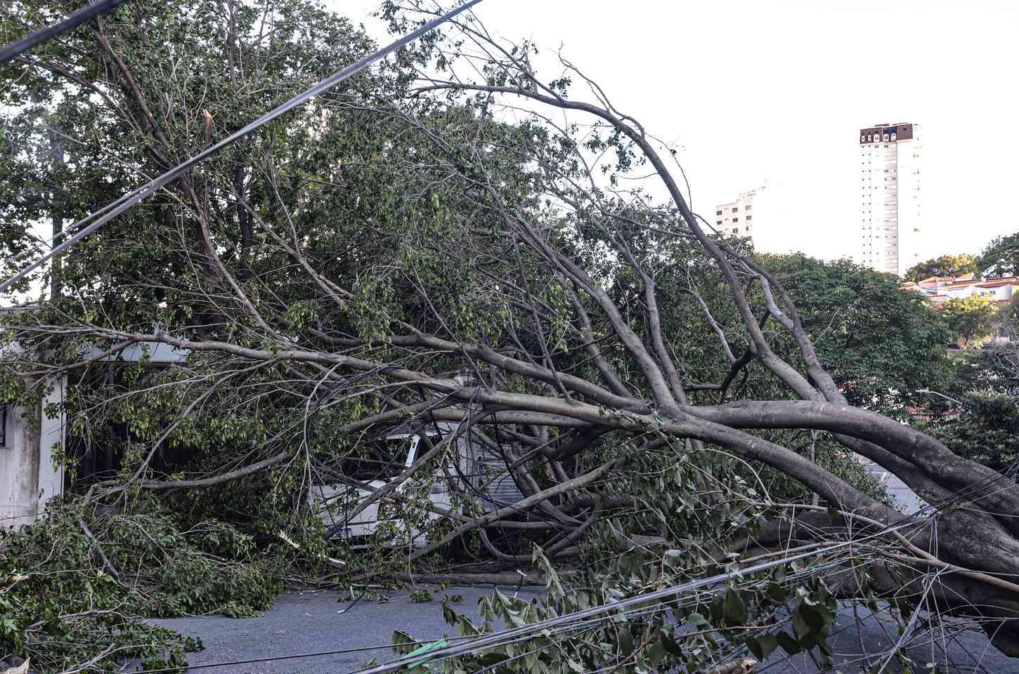 Ventos fortes causam estragos e interrupções em São Paulo