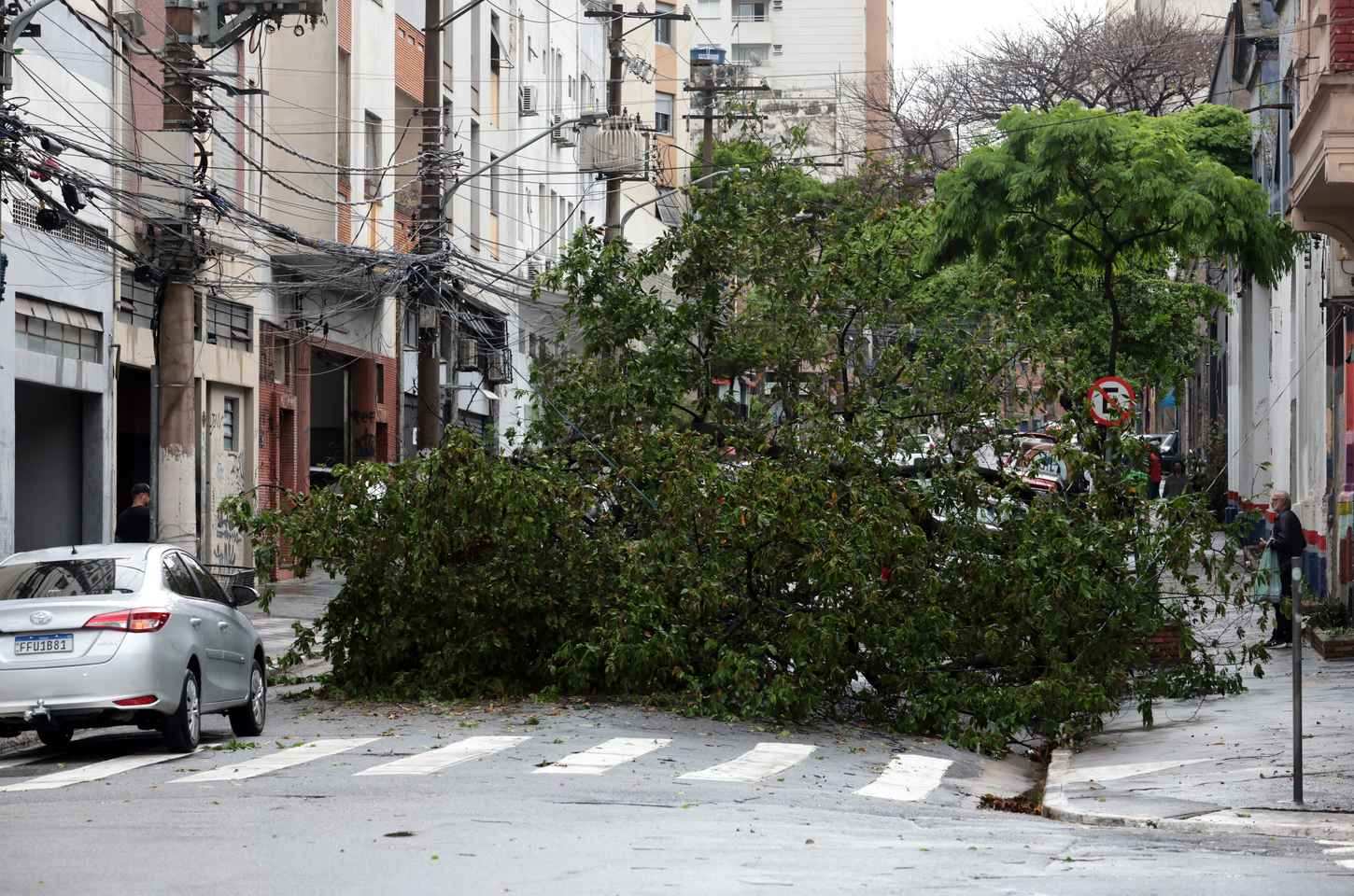 Ventos fortes fecham parques e suspensem eventos natalinos em São Paulo