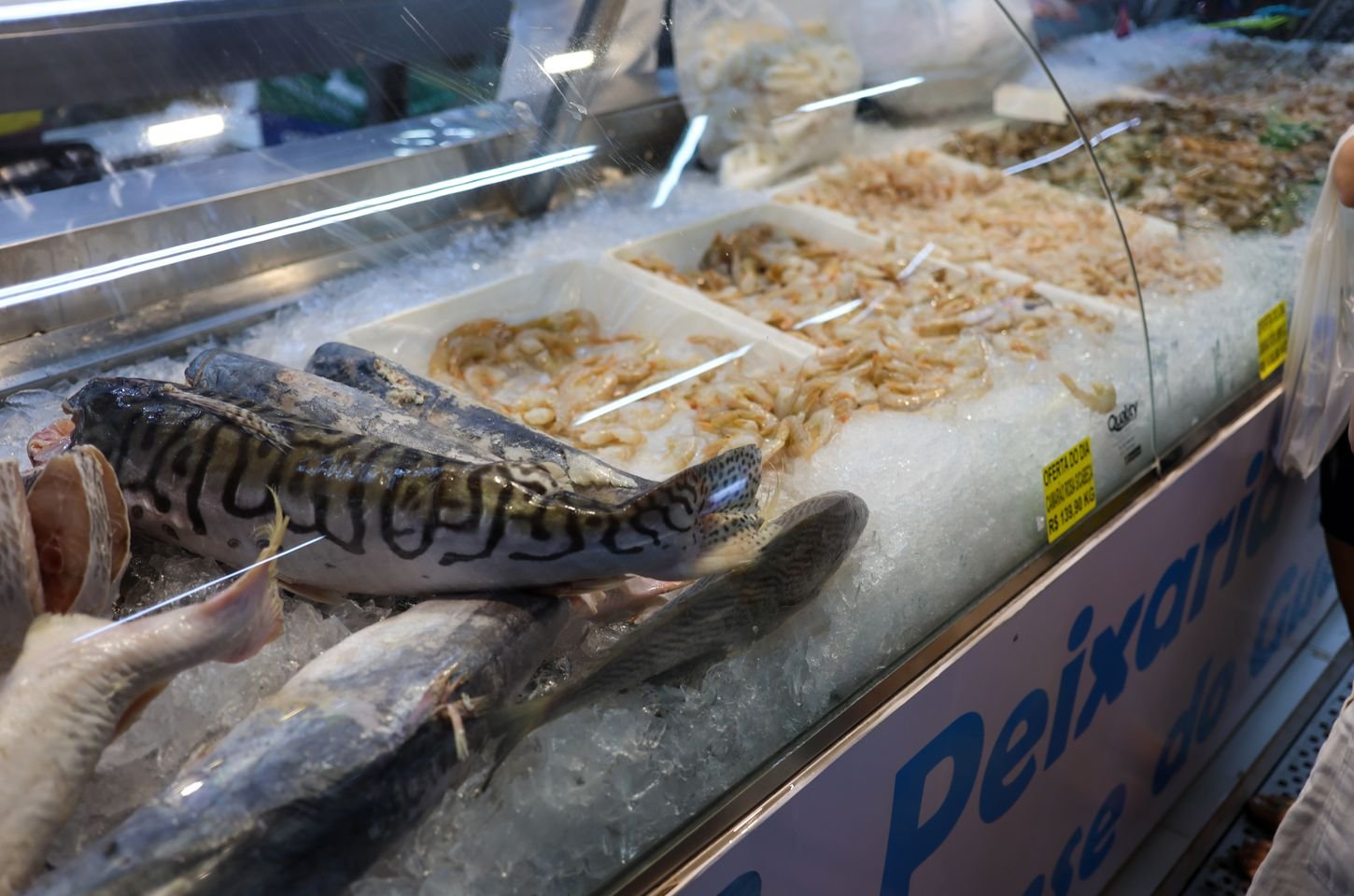 Vigilância sanitária do Rio orienta sobre consumo seguro de pescado na Semana Santa